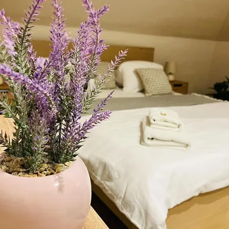 Downtown With Shared Kitchen 3* Győr