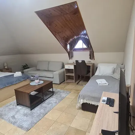 Downtown With Shared Kitchen Apart Otel