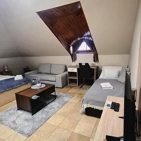 Aparthotel Downtown With Shared Kitchen *