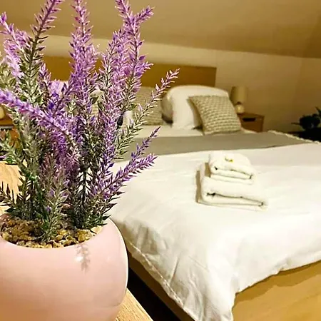 Downtown With Shared Kitchen 3* Győr