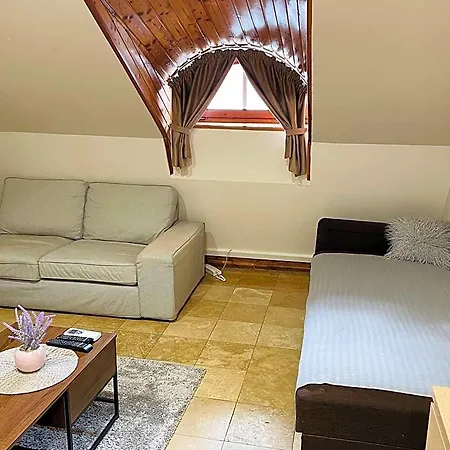 Aparthotel Downtown With Shared Kitchen