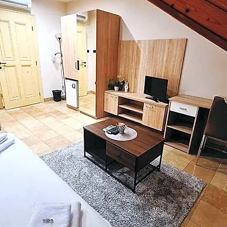 Aparthotel Downtown With Shared Kitchen 3*