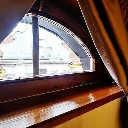 Downtown With Shared Kitchen 3*
