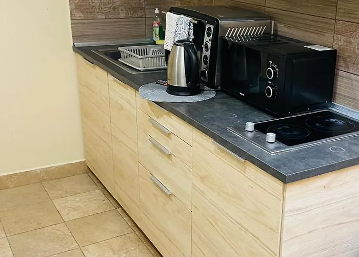 Downtown With Shared Kitchen 3*