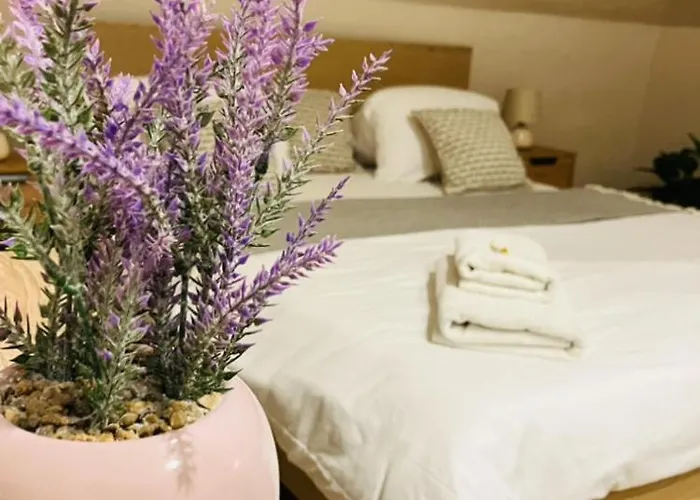 Downtown With Shared Kitchen 3* 杰尔